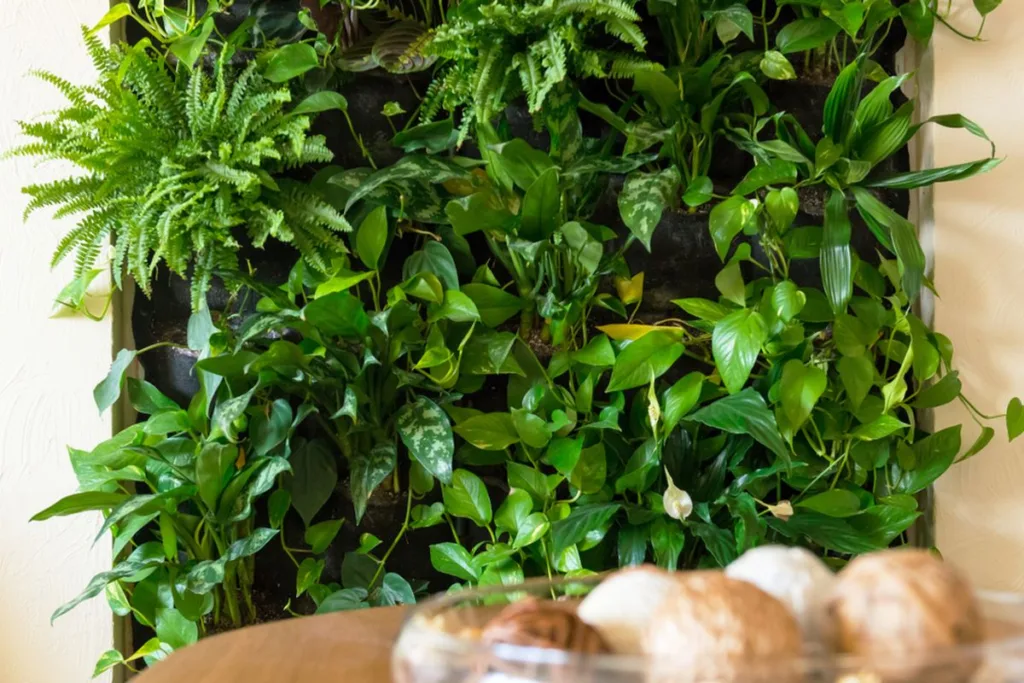 Vertical Garden