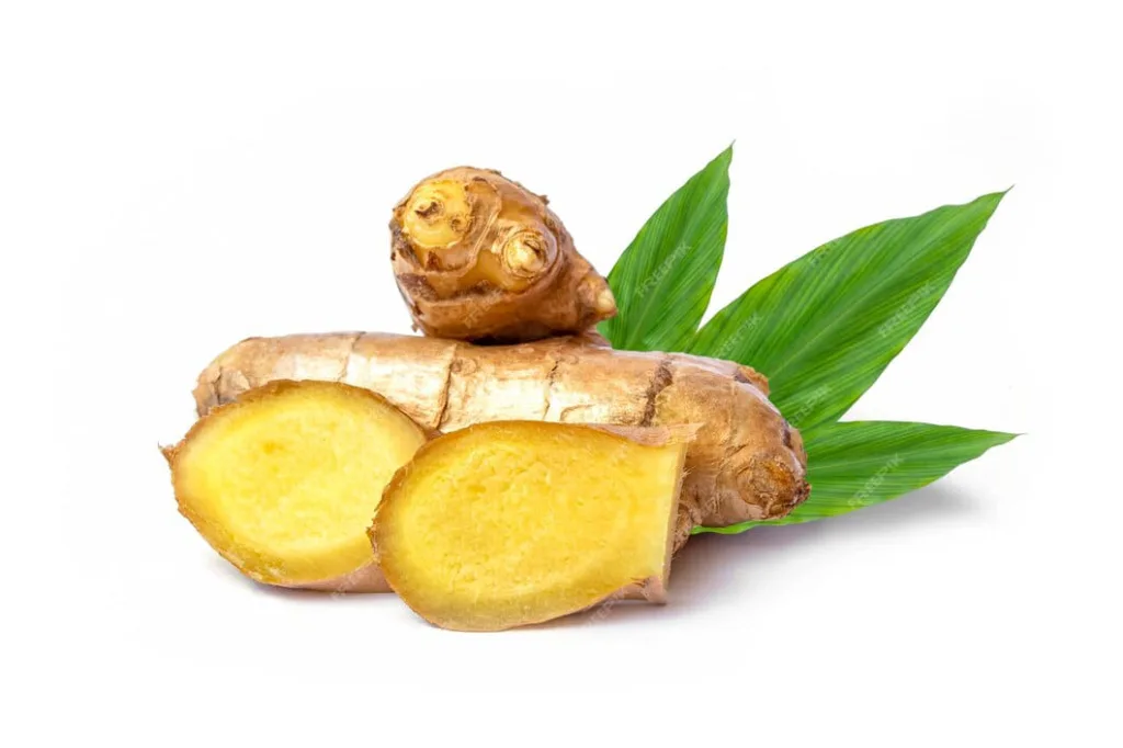 Temu Mangga